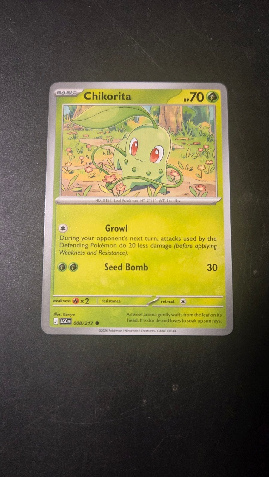 Chikorita 008/217 - Ascended Heroes Pokémon Kaart, Ophalen of Verzenden, Zo goed als nieuw, Losse kaart