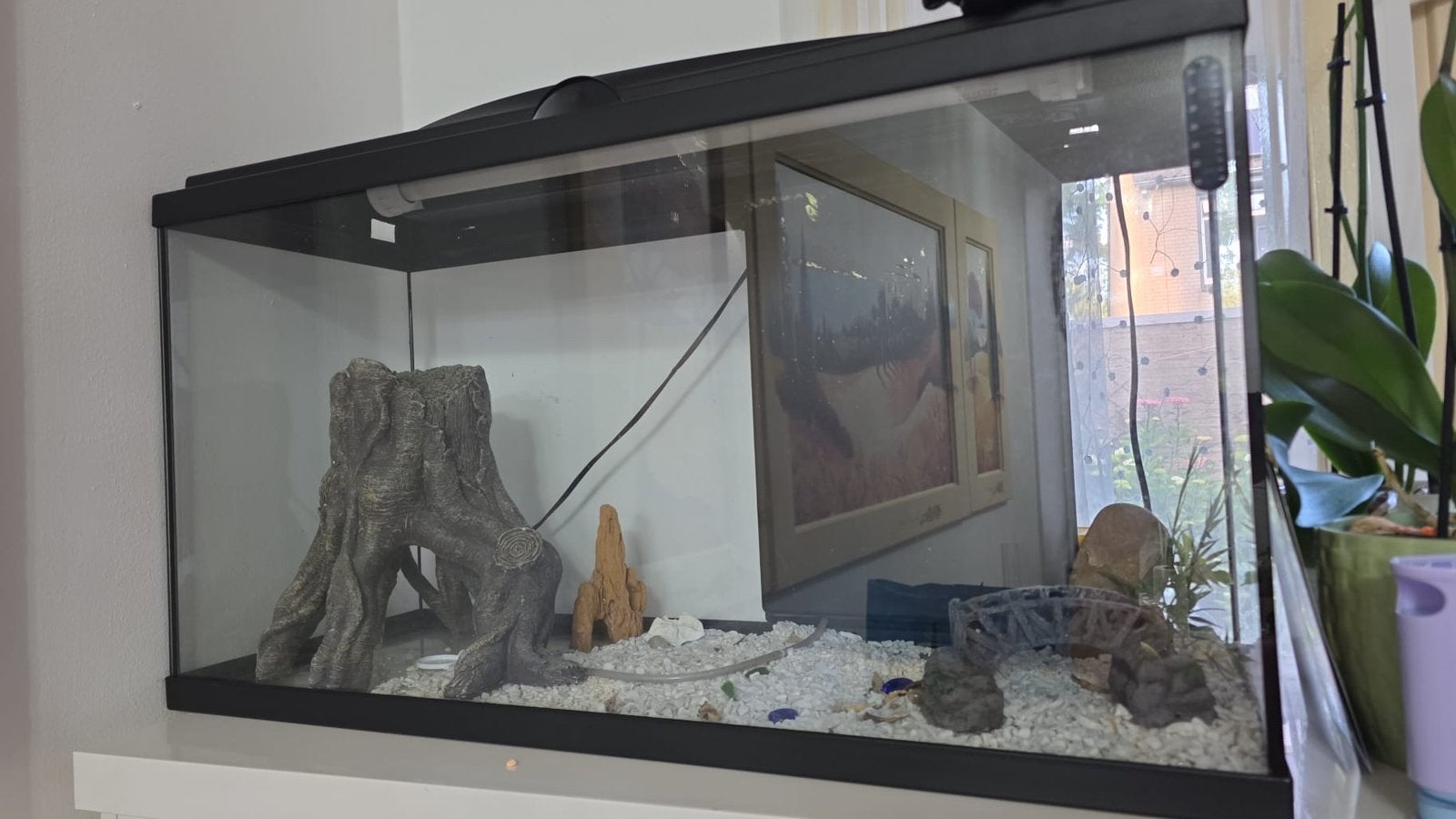 Aquarium, Ophalen, Zo goed als nieuw, Leeg aquarium