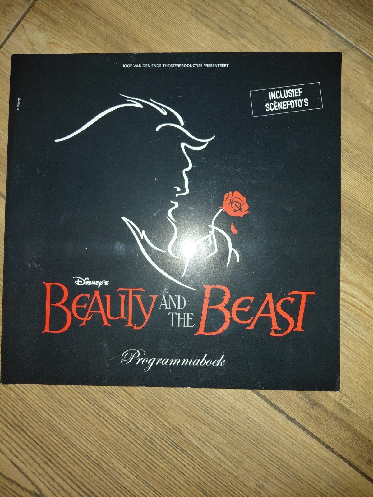 Programmaboek Beauty and the Beast, Ophalen of Verzenden