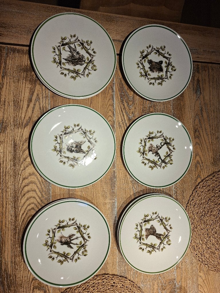 Porcelain -borden, Winterling,  " wild", Ophalen, Porselein, Compleet servies