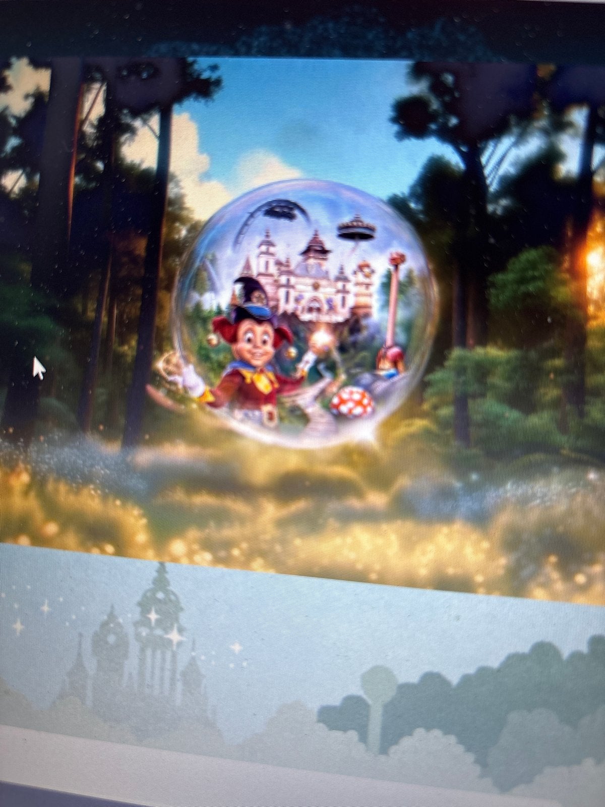 Kaartje Efteling, Eén persoon, Ticket of Toegangskaart