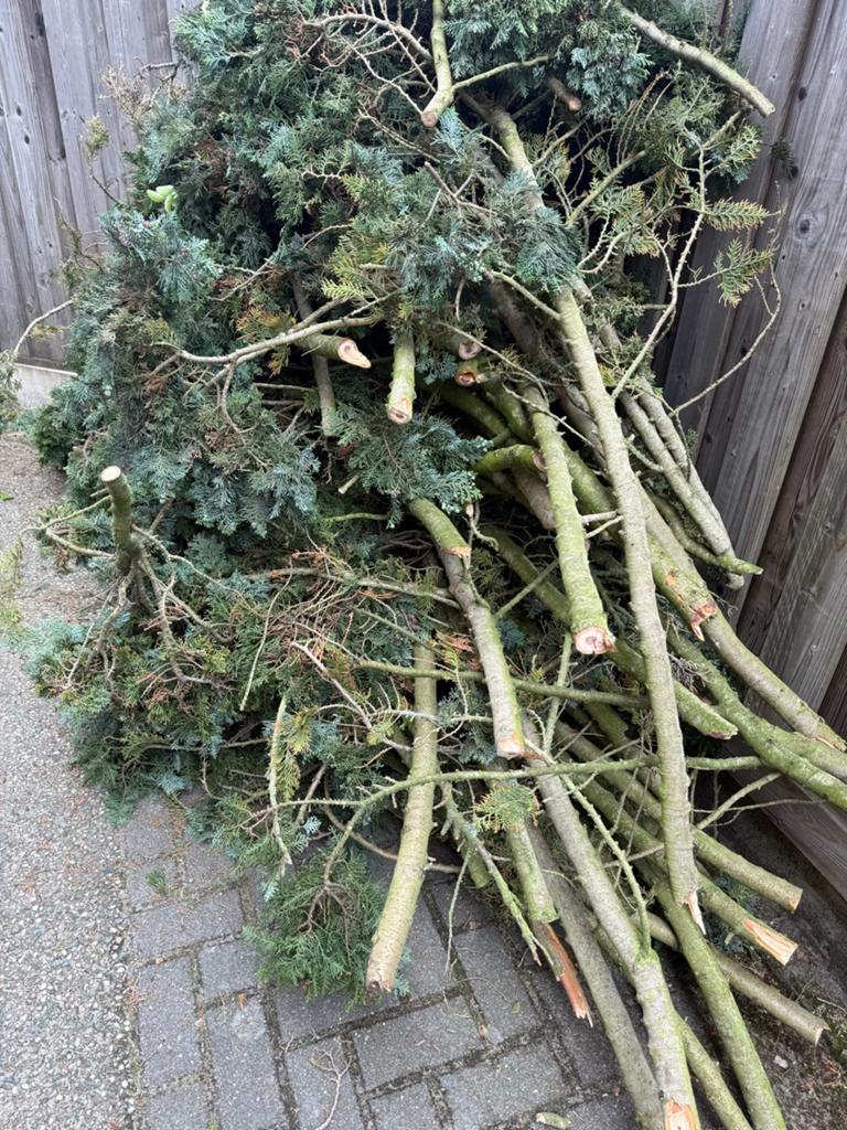 Afgezaagde boomstammen en takken, Tuin en Terras, Ophalen, Overige soorten, 250 tot 400 cm