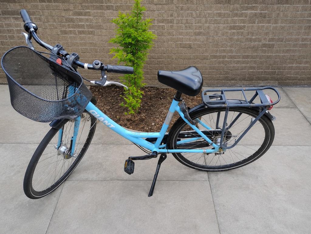 Giant Urban M damesfiets, Fietsen en Brommers, Ophalen of Verzenden, Gebruikt, Giant, Versnellingen