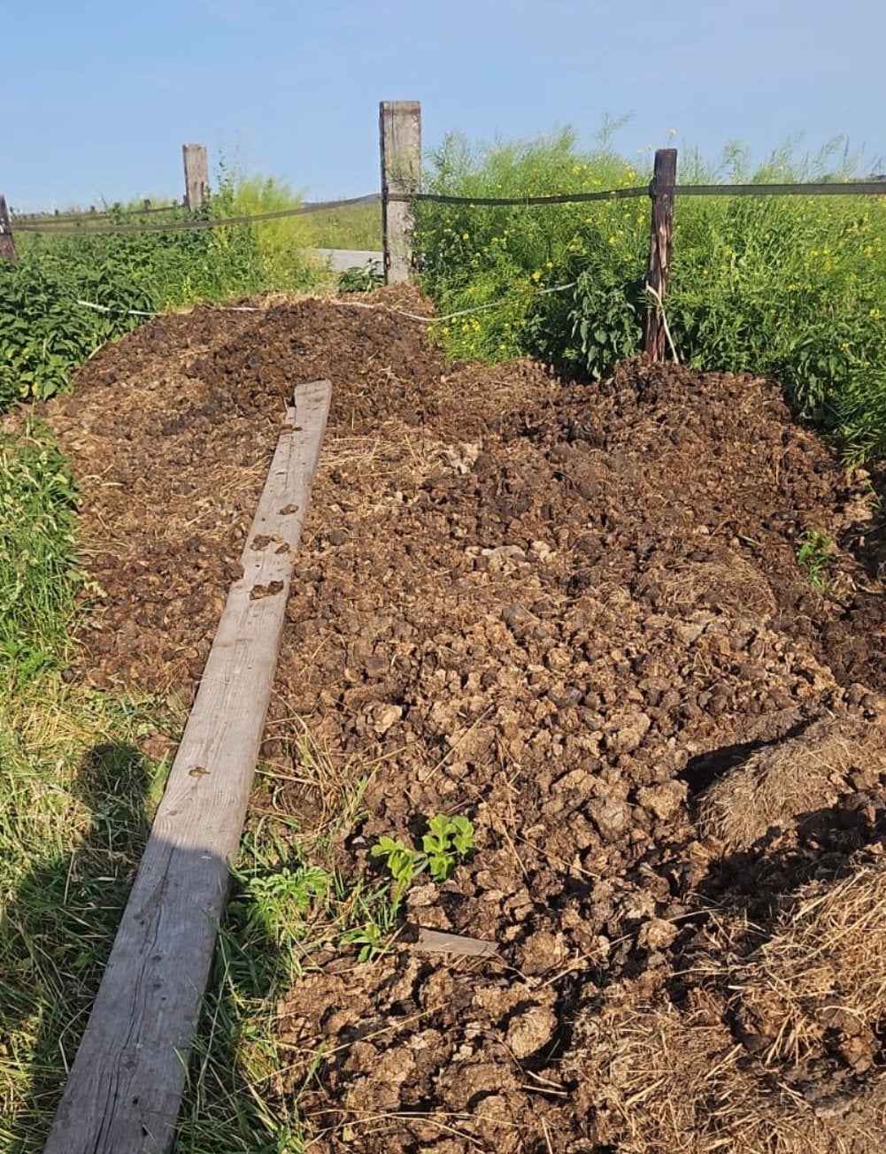 Gratis pure paardenmest - Blaricum, Tuin en Terras, Ophalen, Mest