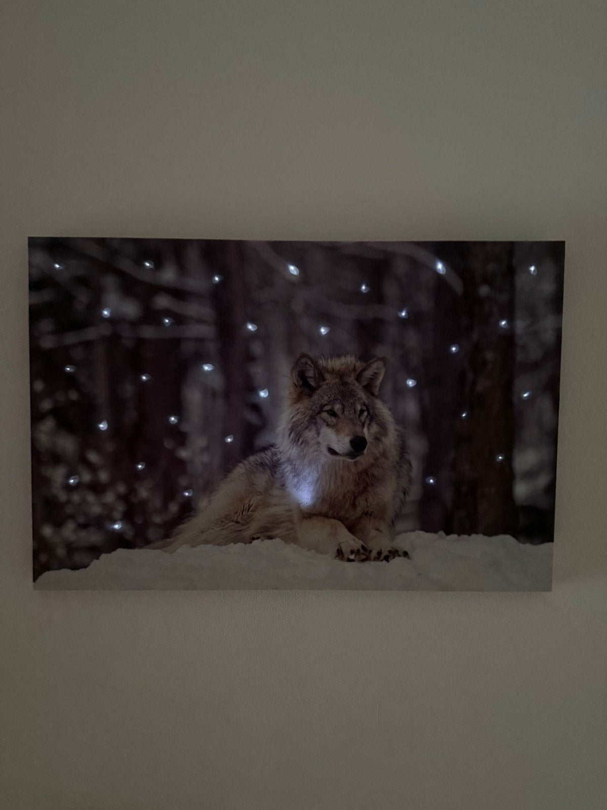 Wolf canvas met LED-verlichting – 60 x 40 cm, Ophalen of Verzenden, Zo goed als nieuw, Schilderij