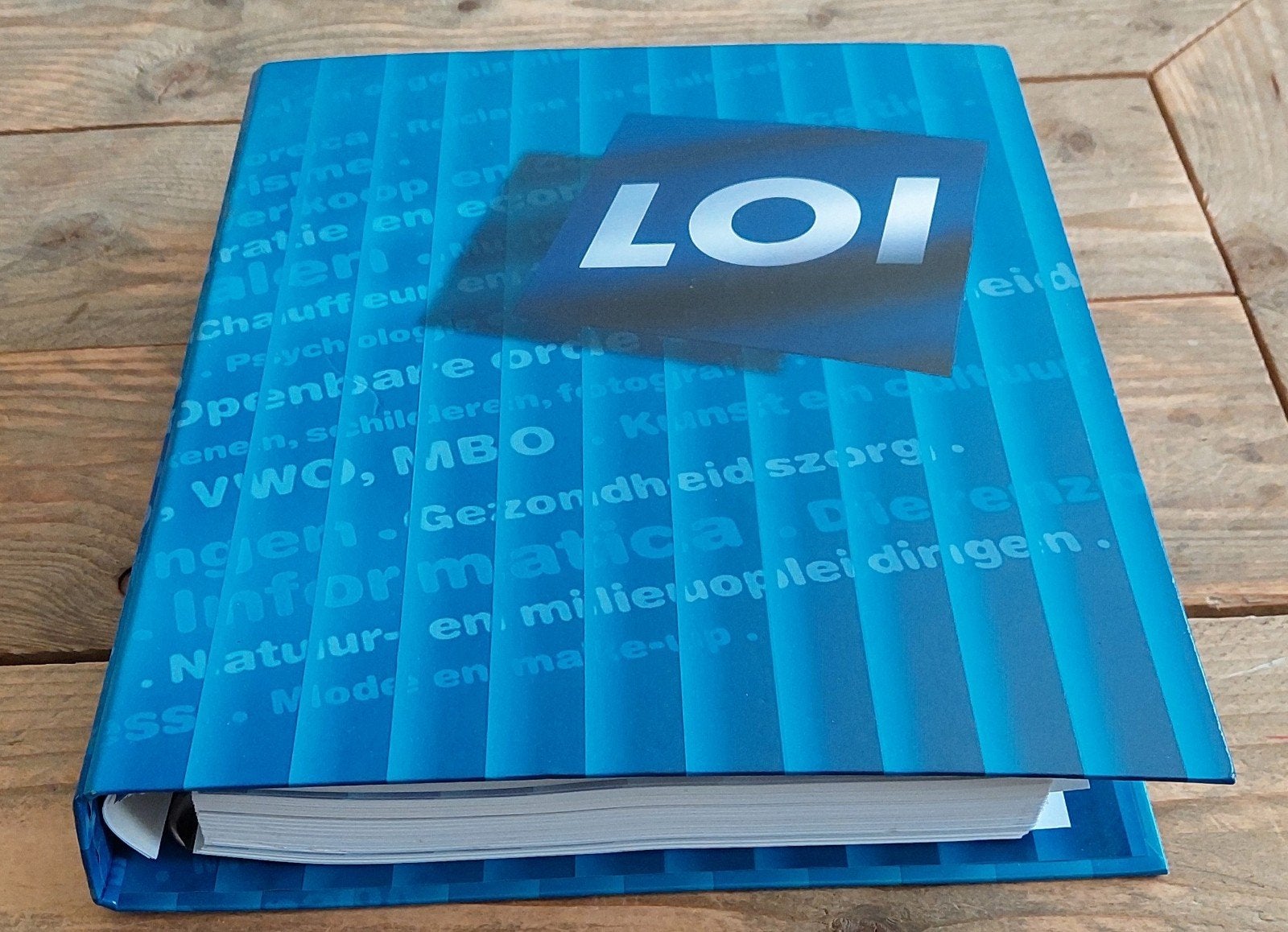 LOI cursus Gewichtsconsulent, Boeken, Studieboeken en Cursussen, Zo goed als nieuw, MBO, Beta, LOI