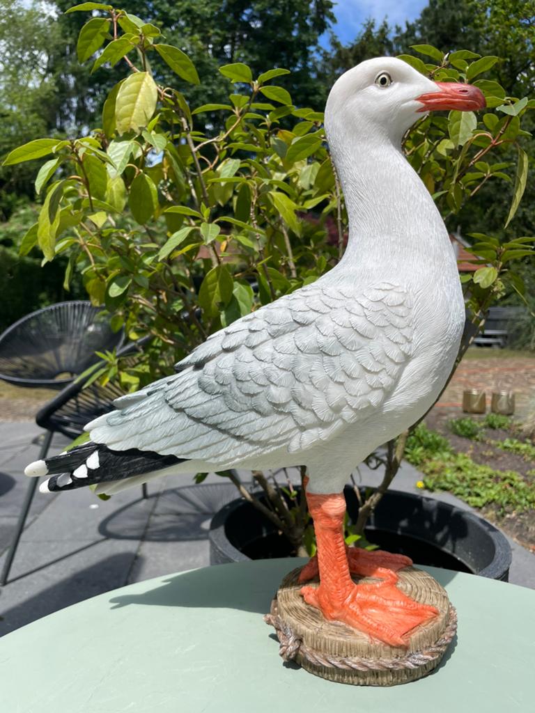 Meeuw vogel beeld tuin huis zwembad vijver zee strand, Tuin en Terras, Ophalen of Verzenden, Kunststof