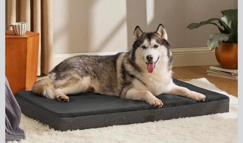 Hondenmand orthopedisch voor senior honden - ook grote maten, Verzenden, Nieuw, Overige