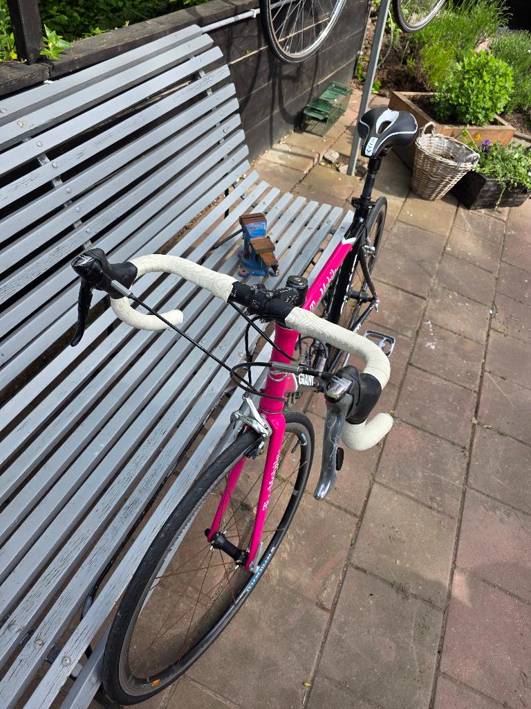 giant shimano, Fietsen en Brommers, Fietsen | Mountainbikes en ATB, Ophalen, Gebruikt, Giant