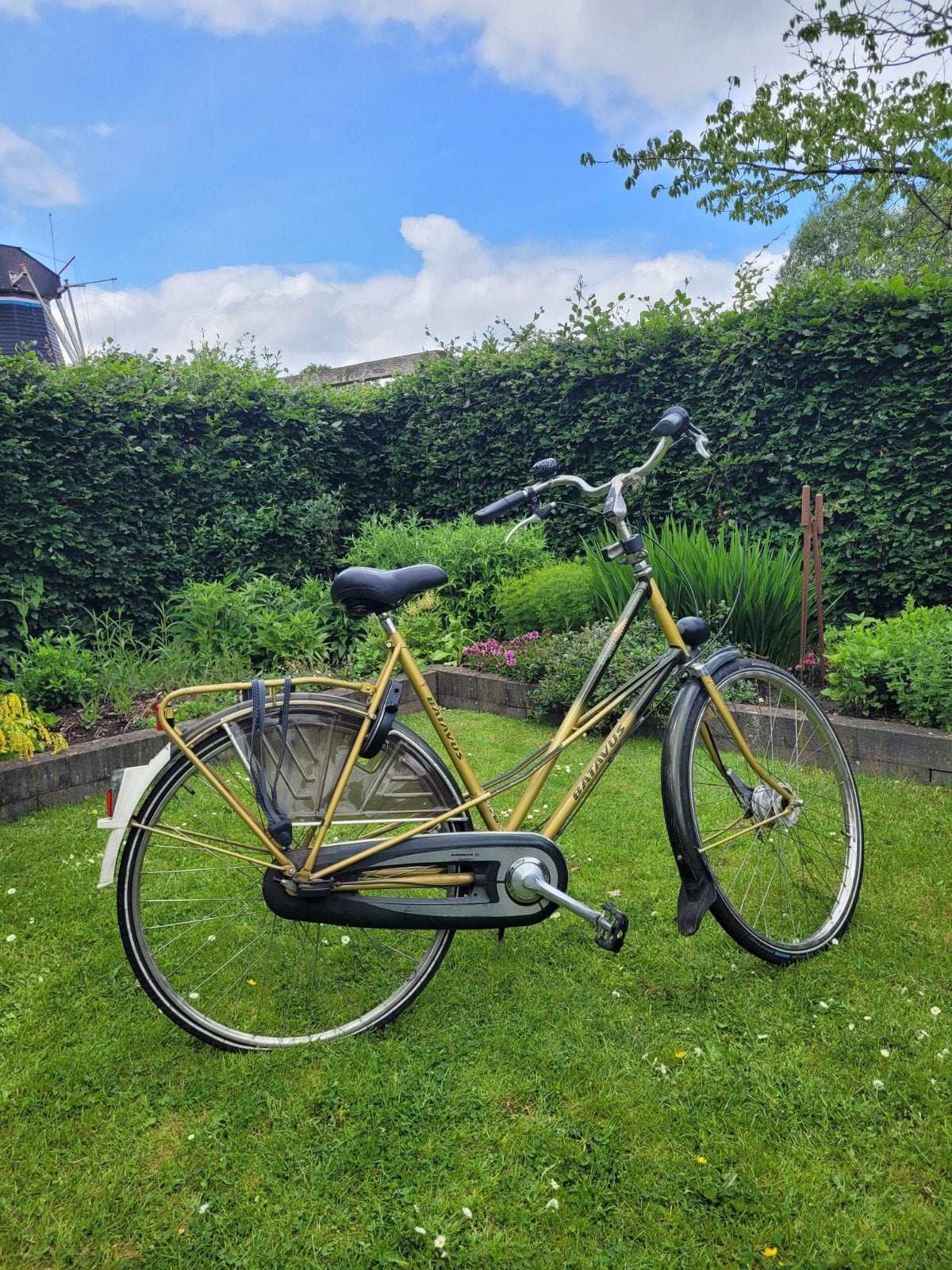 Batavus Stabilo Damesfiets - Framemaat 59, 56 cm of meer, Ophalen, Gebruikt, Batavus
