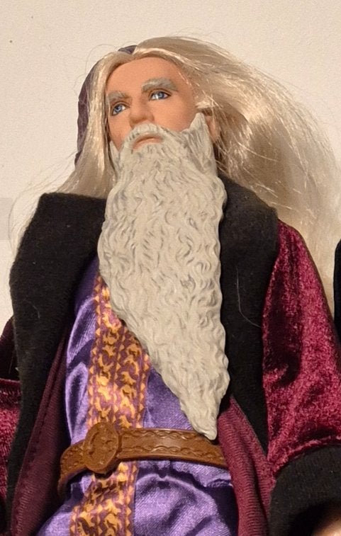 Barbie s   Harry Potter clan, Ophalen of Verzenden, Zo goed als nieuw, Actiefiguurtje