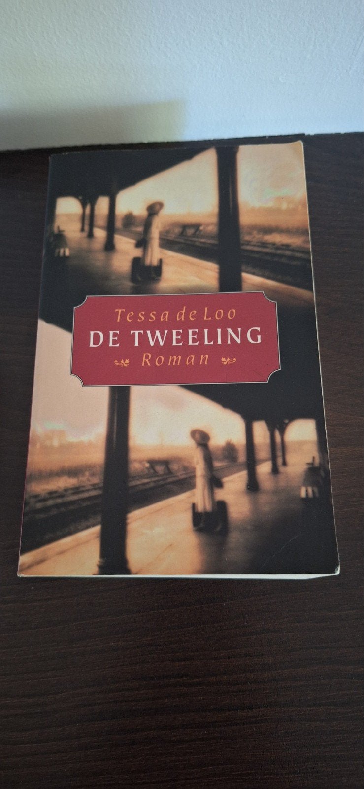 De Tweeling - Tessa de Loo (Roman), Ophalen, Gelezen, Tessa de Loo