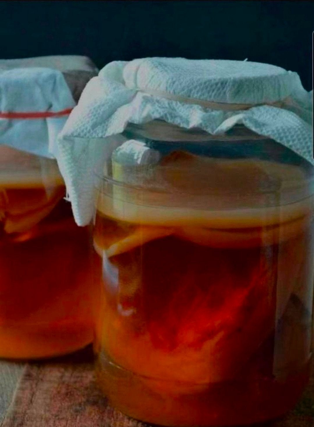 Kombucha zwam scoby, Ophalen of Verzenden