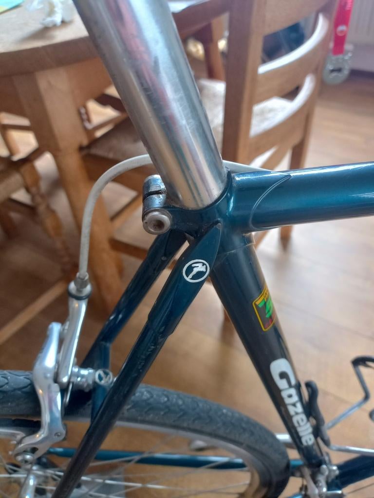 Champion Mondial AB Gazelle 56 cm Donkergroen., Ophalen, 28 inch, Gebruikt, Meer dan 20 versnellingen