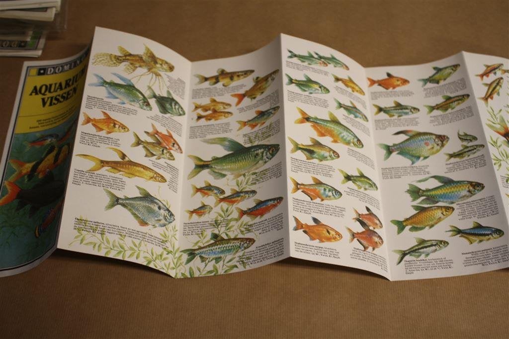 Uitvouwbare informatiefolder Domino Aquariumvissen., Ophalen of Verzenden, Zo goed als nieuw, Vogels
