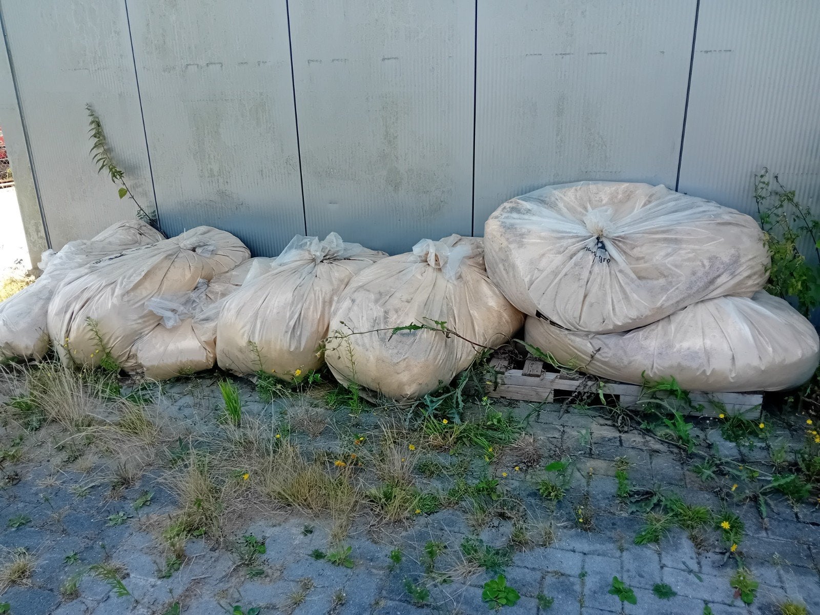 spaanders zaagsel hout gratis, Ophalen, Vee