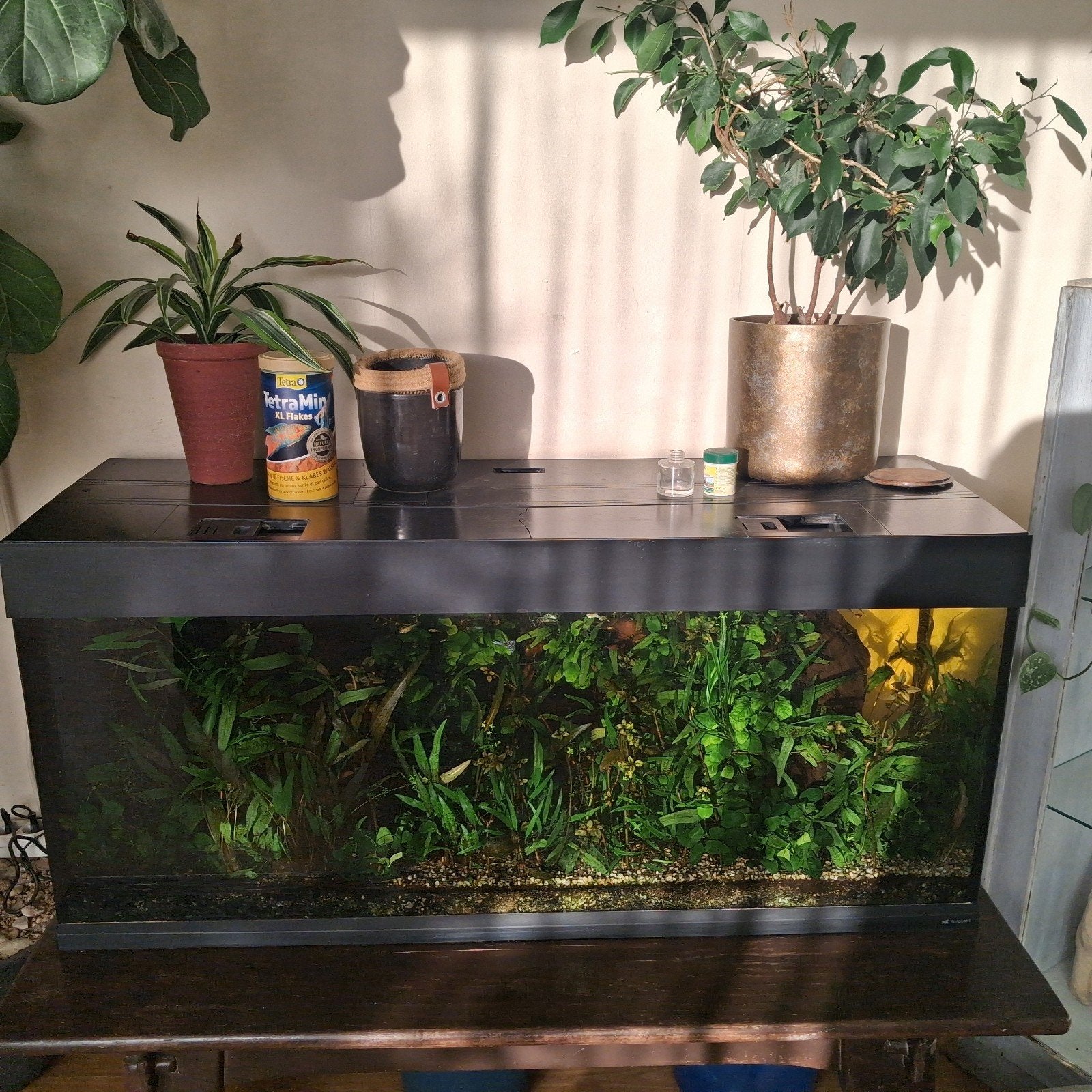 Aquarium met vissenbestand afhalen in Zeist, Dieren en Toebehoren, Ophalen