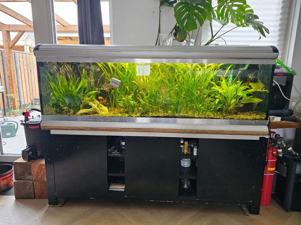 Aquarium Ferplast 200 incl meubel Nieuwprijs 7.500,-, Ophalen, Inclusief deksel, Gebruikt, Aquariummeubel