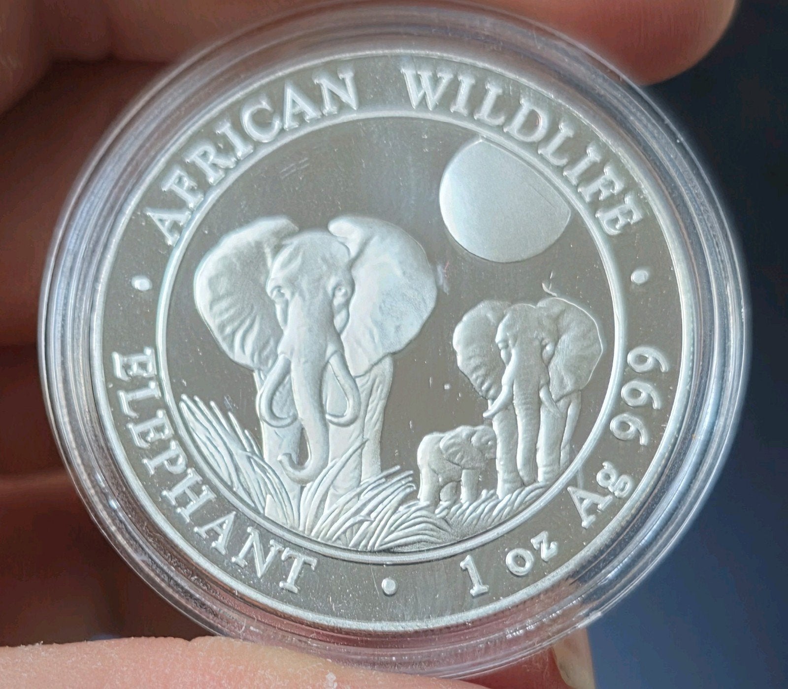 100 shillings 2014 Somalische olifant 1oz, Postzegels en Munten, Verzenden, Zilver