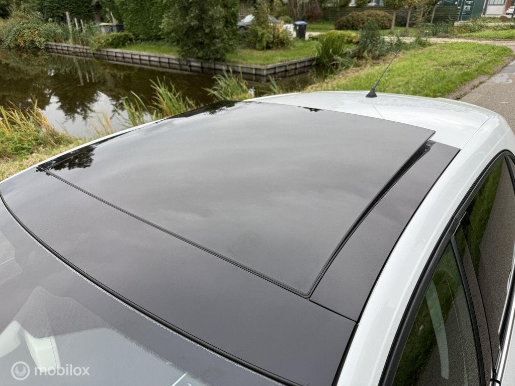 Renault Megane 1.8 TCe 300 RS Trophy / Pano / Bose / Brembo, Stof, Gebruikt, Zwart, 4 cilinders