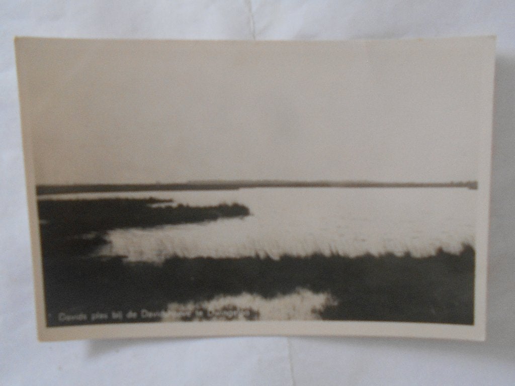 Dwingeloo Davidsplas bij de Davidshoeve unieke natuur kaart, Ophalen of Verzenden, 1940 tot 1960, Ongelopen, Drenthe