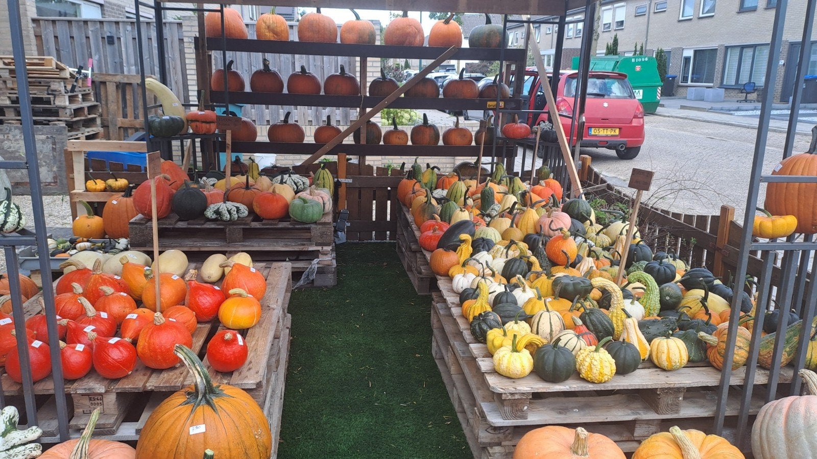 Diverse pompoenen en kalebassen voor decoratie en consumptie, Tuin en Terras, Ophalen, Overige soorten, Volle zon