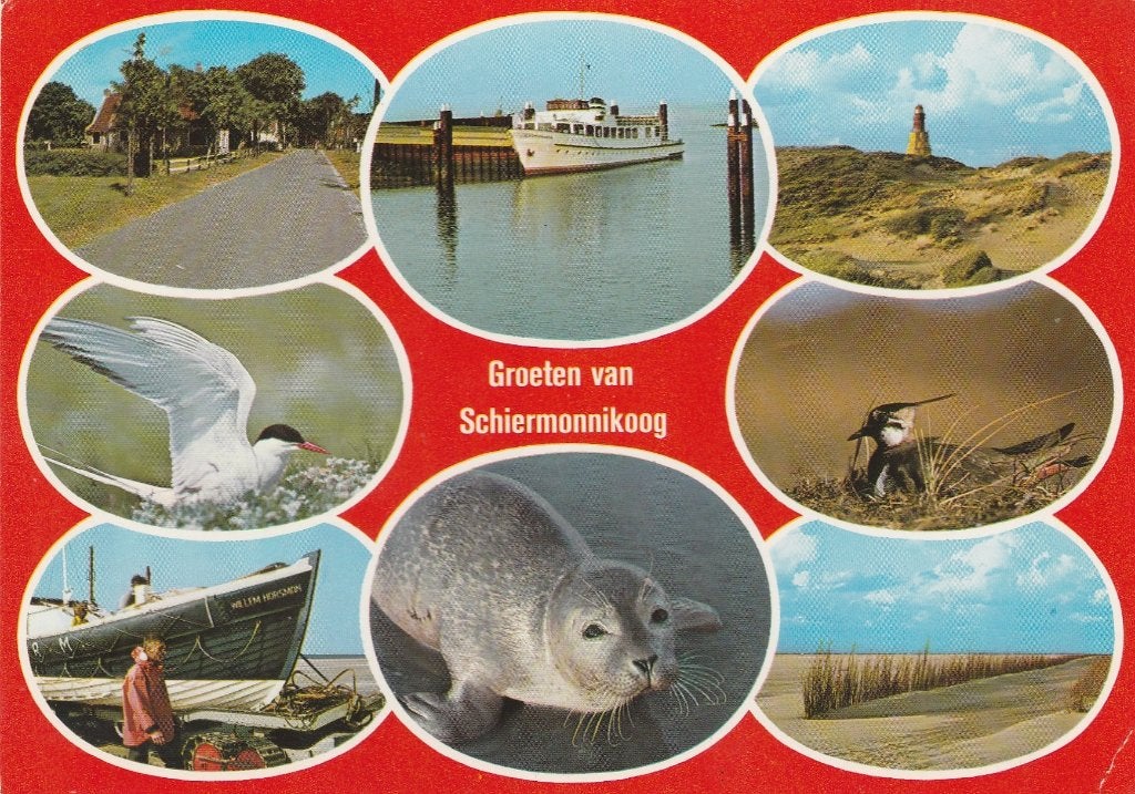 SCHIERMONNIKOOG Straat Reddingsboot Veerboot Groeten, Verzenden, 1960 tot 1980, Gelopen, Waddeneilanden