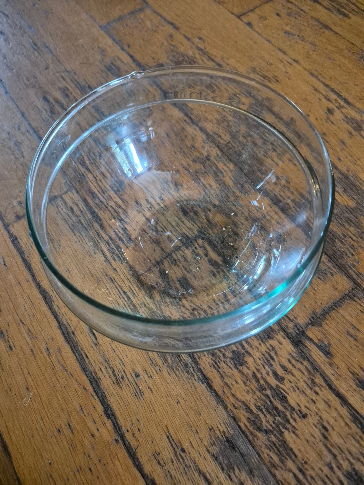 Glazen schaal met stolp - Decoratief en veelzijdig, Huis en Inrichting, Gebruikt, Met deksel, Schaal, Rond