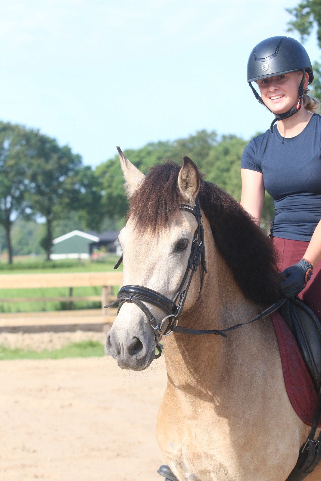 Super gave valk D pony!, Dieren en Toebehoren, B, 3 tot 6 jaar, D pony (1.37m tot 1.48m), Merrie