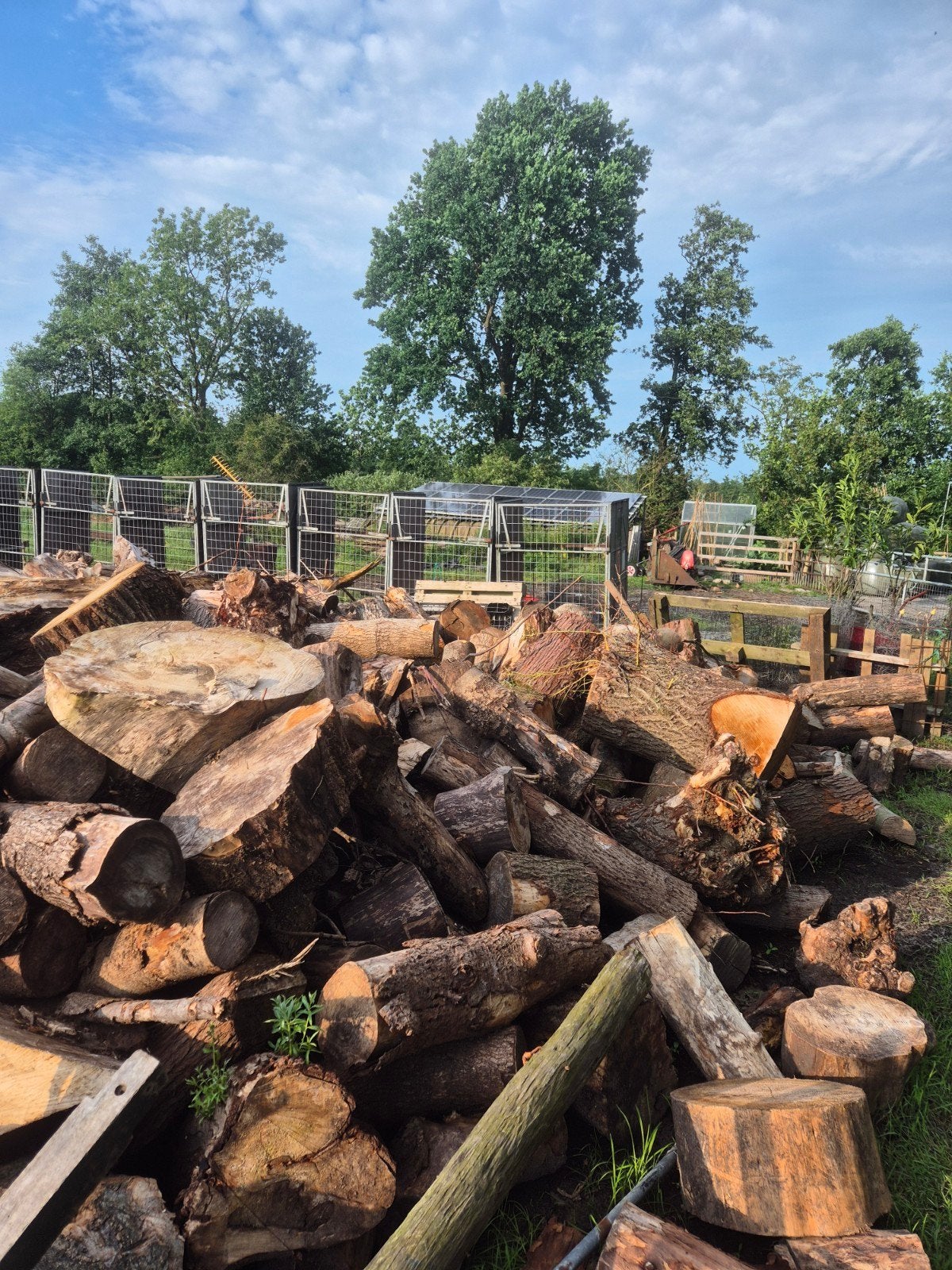 Haardhout, Minder dan 3 m³, Ophalen