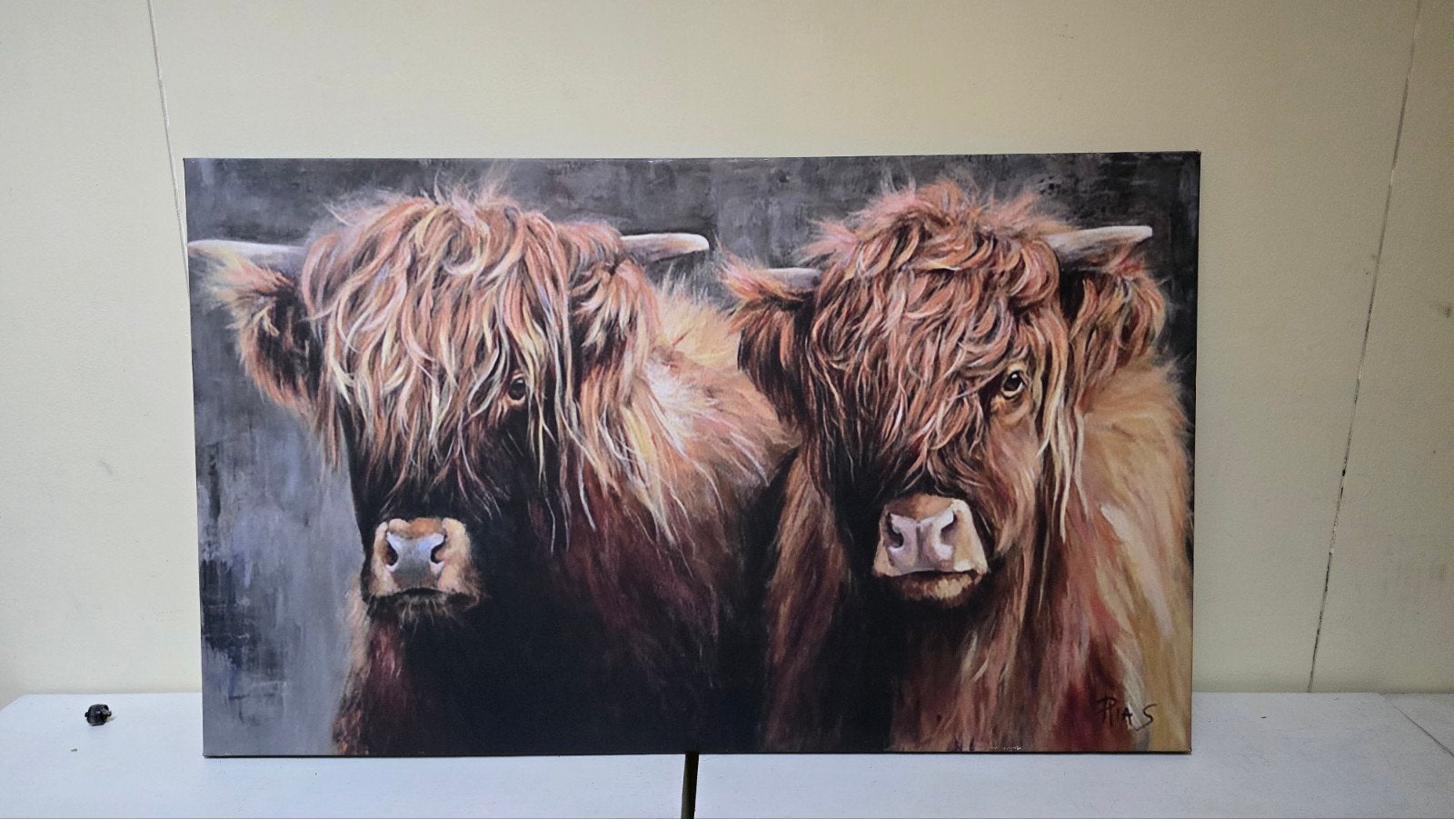 Schilderij Schotse Hooglanders moeder en dochter, Ophalen