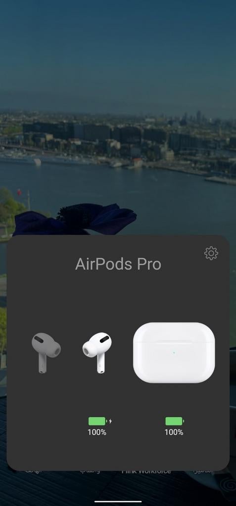 Orgineel Apple AirPods Pro