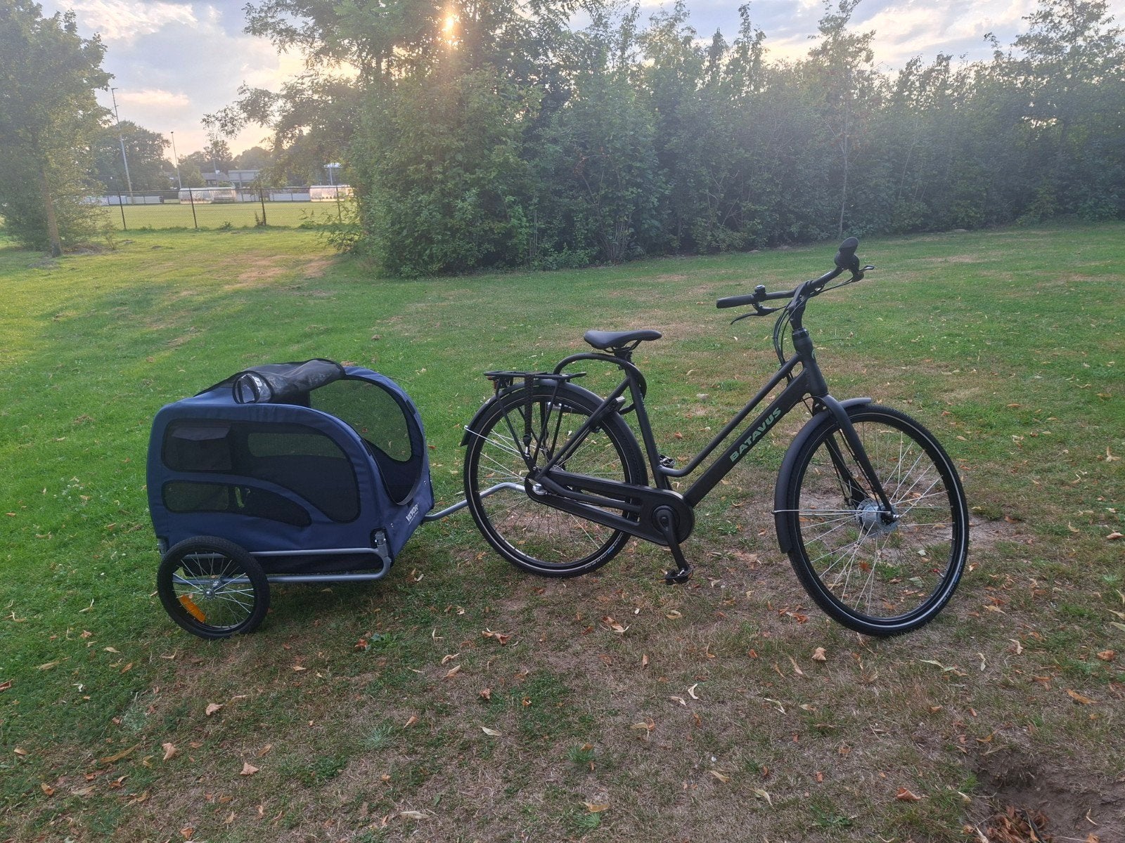 hondenfietskar, Vevor, Dieren en Toebehoren, Ophalen, Zo goed als nieuw