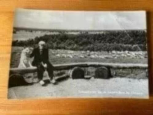 Schaapherder op de lemelerberg bij Ommen, Ophalen of Verzenden, 1960 tot 1980, Gelopen, Overijssel