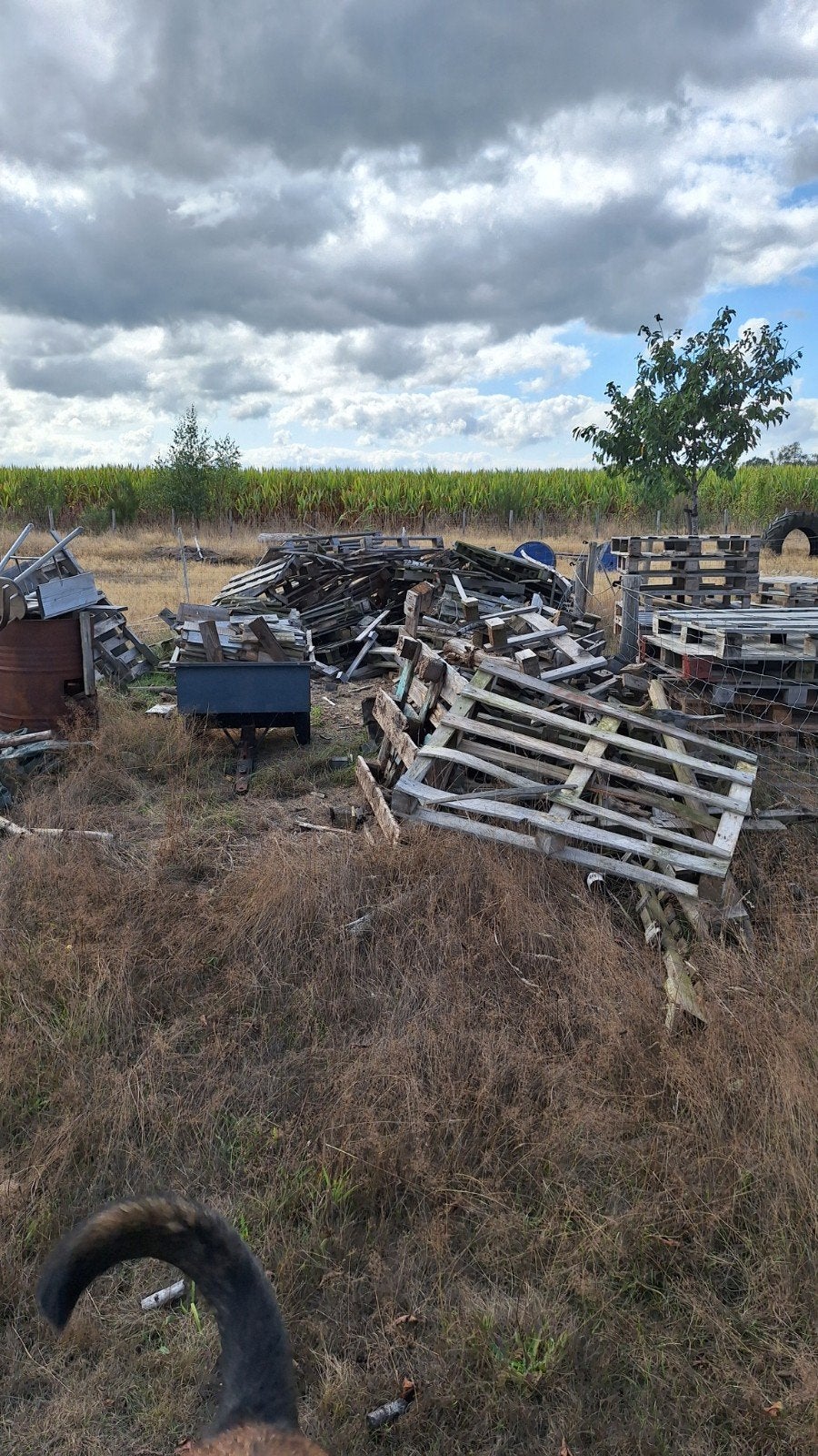 GRATIS! Grote partij afvalhout / brandhout (pallets), Tuin en Terras, 3 tot 6 m³, Ophalen, Overige houtsoorten, Blokken