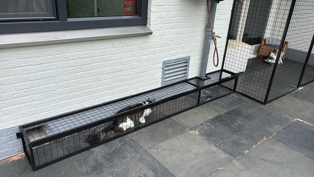 Kattenren Winschoten | Maatwerk | Duurzame materialen, Ophalen of Verzenden, Nieuw
