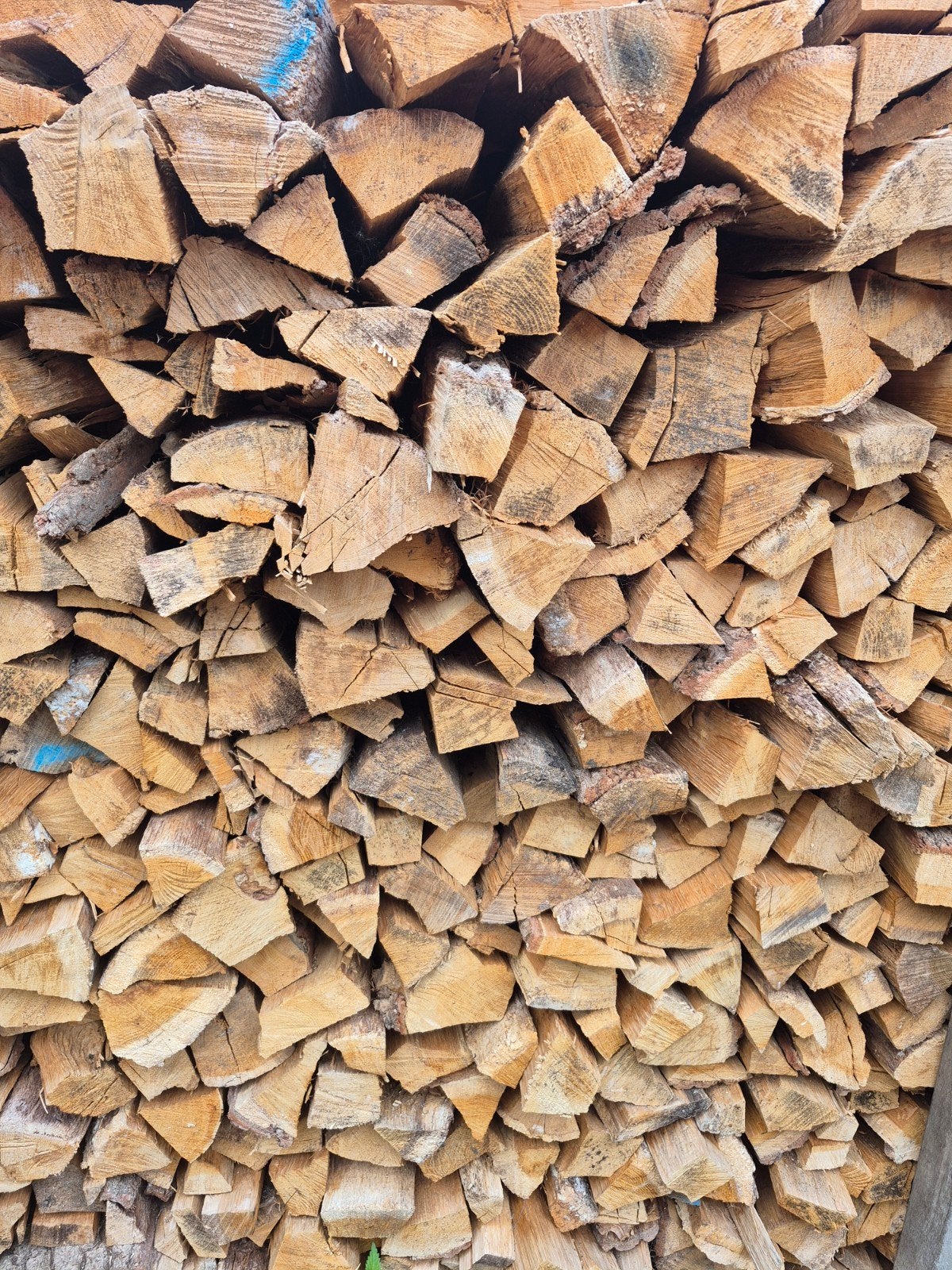 Droog Eiken- en Beukenhout  Gratis bezorging, Tuin en Terras, Minder dan 3 m³, Ophalen, Eikenhout, Blokken