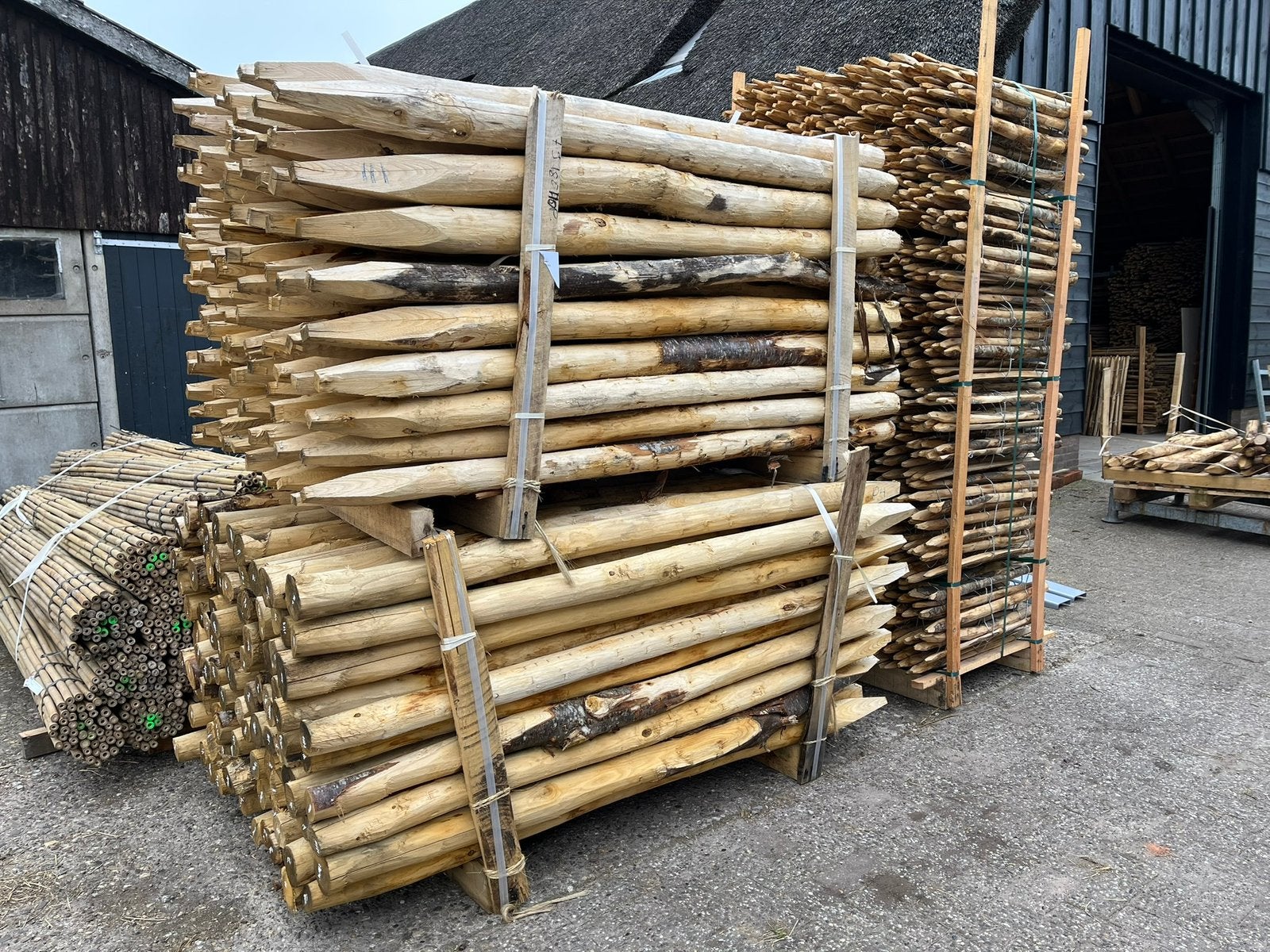 Kastanje paal 200/10-12 cm voor wolvenraster, Ophalen of Verzenden, Nieuw, 250 cm of meer, Palen