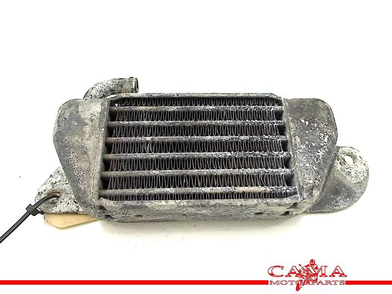 Radiateur BMW R 1200 C (R1200C 97) (1997-01/..), Gebruikt, Petuelring 130, München 80809, , Duitsland, BMW, Bayerische Motoren Werke AG