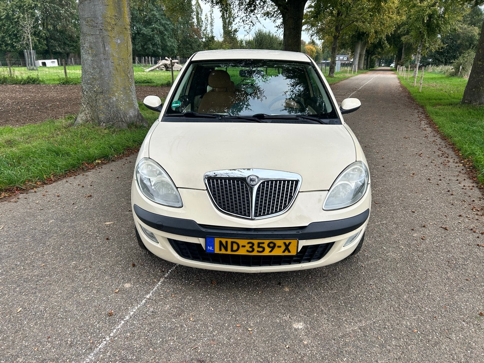 Lancia Ypsilon 2005 LPG Bose Leder | Airco | 1.2, Auto's, Voorwielaandrijving, 980 kg, 4 cilinders, Wit
