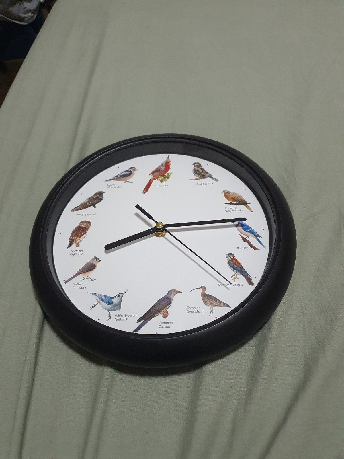 Vogelklok met elk uur een ander vogelgeluid, Huis en Inrichting, Ophalen, Wandklok, Analoog, Zo goed als nieuw