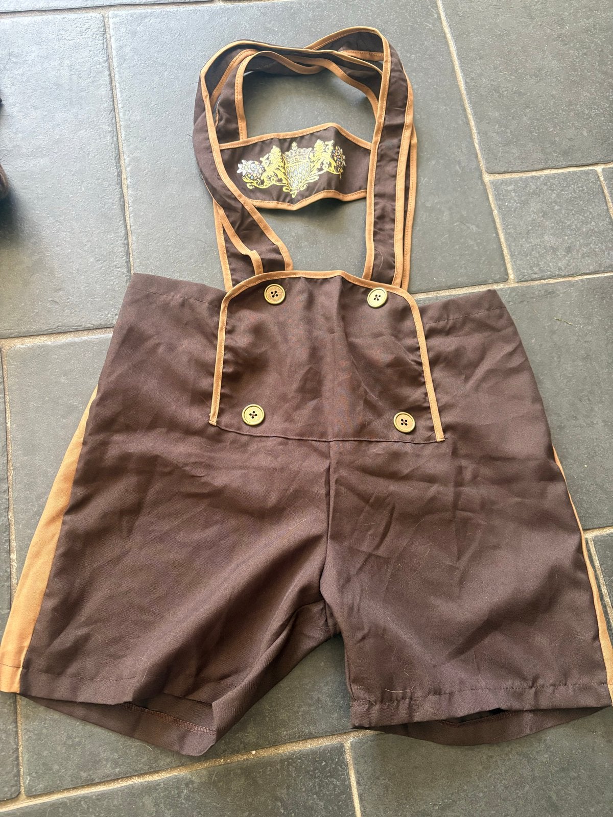 Bruine Carnaval Lederhosen - Maat M, Ophalen of Verzenden, Gebruikt, 170 of groter, Jongen of Meisje