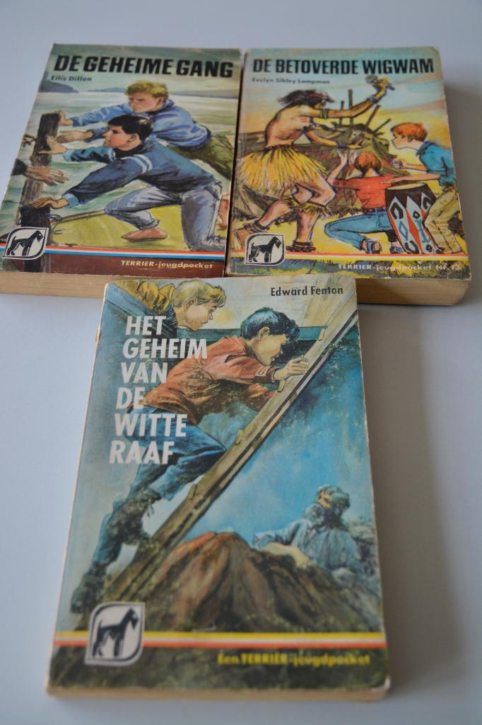 3 Terriër jeugdpockets/de geheime gang/de betoverde wigwam, Boeken, Kinderboeken | Jeugd | 13 jaar en ouder, Gelezen, Ophalen of Verzenden