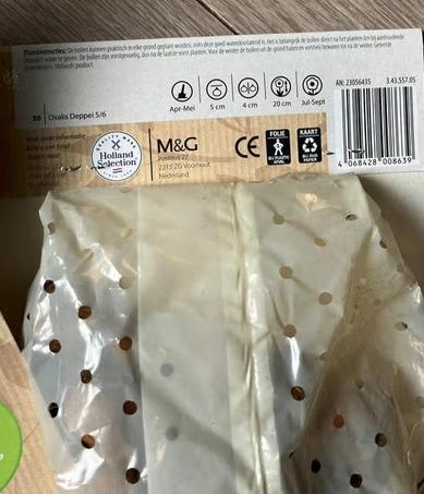3x30 bollen geluksklaver oxalis deppei, Ophalen of Verzenden, Volle zon