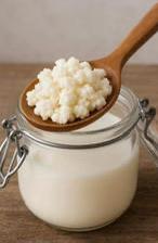 Melk kefir korrels, Diversen, Levensmiddelen, Ophalen