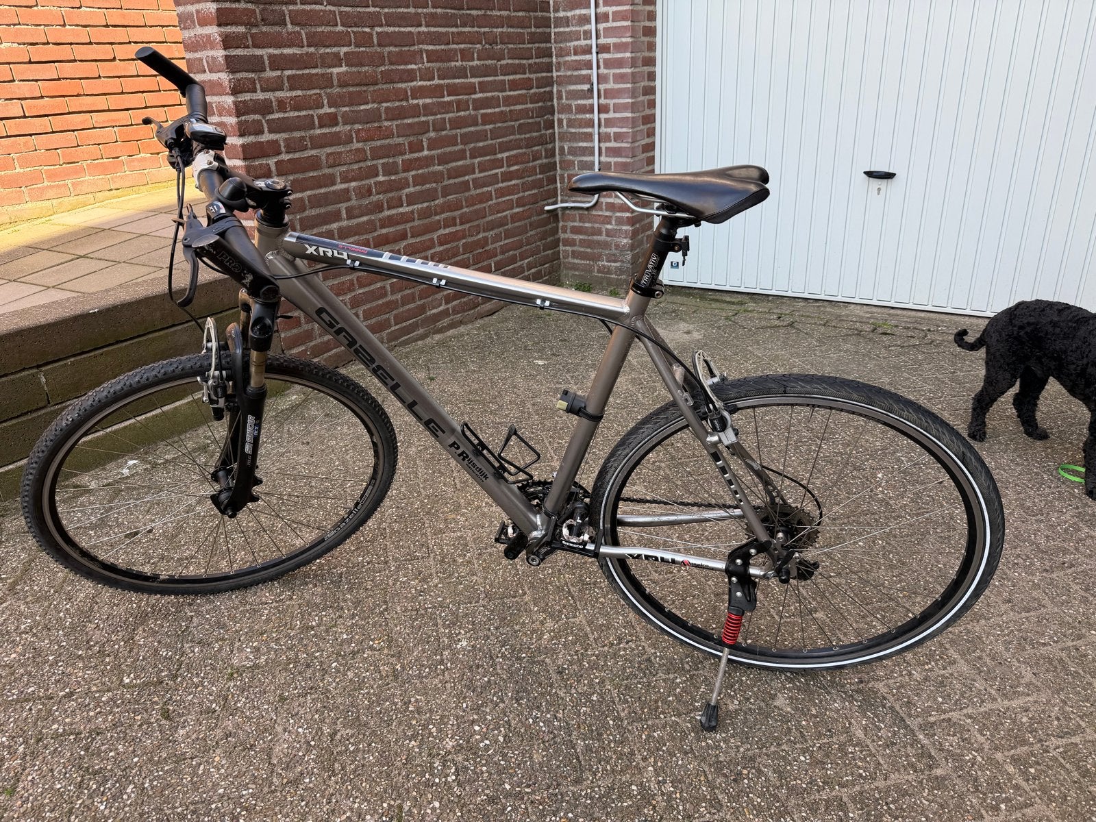 Gazelle XR4 Hybride Fiets, Ophalen, Vering, 57 tot 61 cm, Meer dan 20 versnellingen