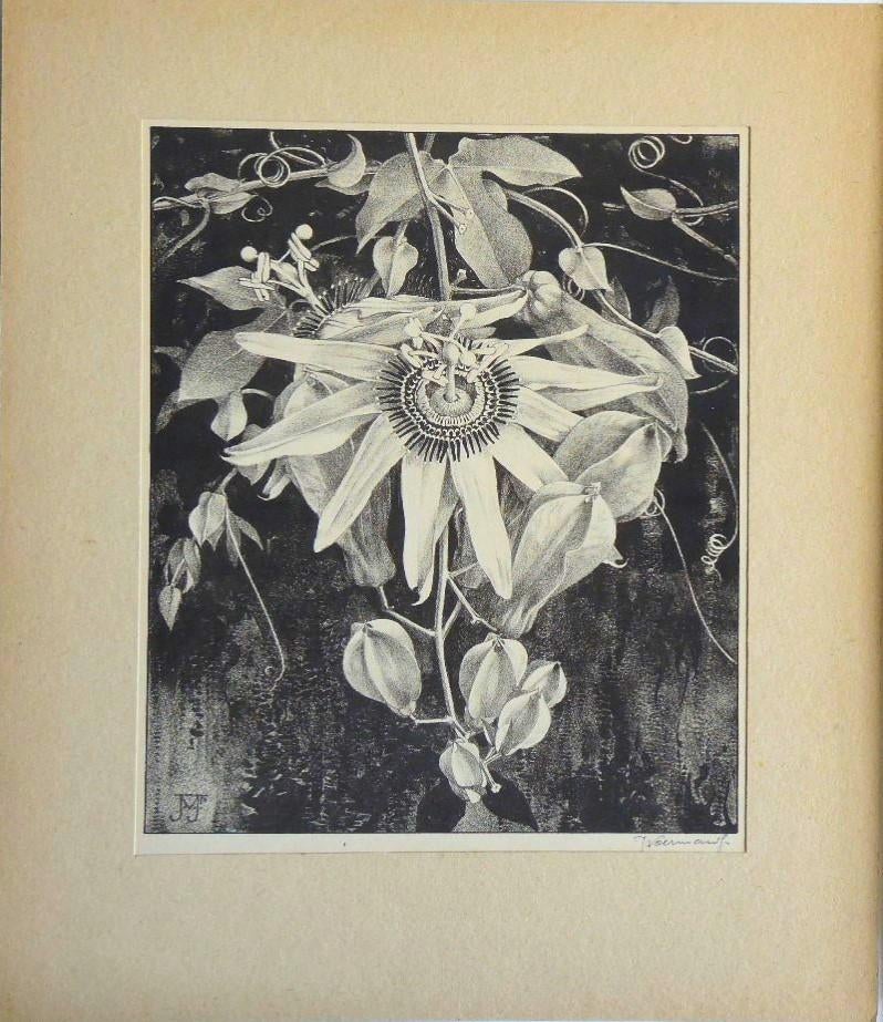 Jan Voerman Jr. litho "Bloem", met passepartout, Ophalen, Minder dan 50 cm, Gebruikt, Oorspronkelijke maker
