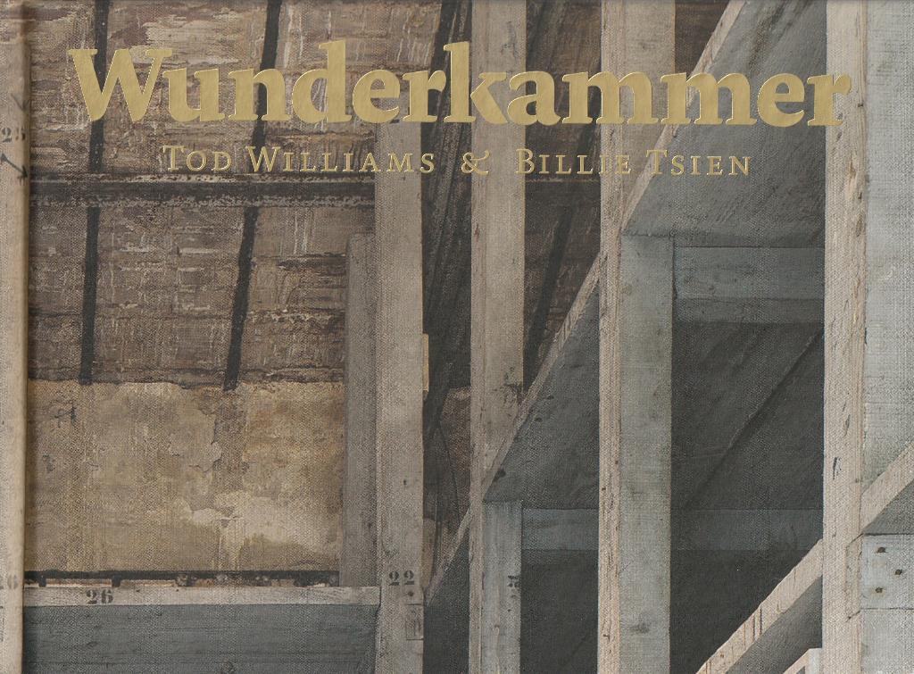 Tod Williams, Wunderkammer, Ophalen of Verzenden, Gelezen