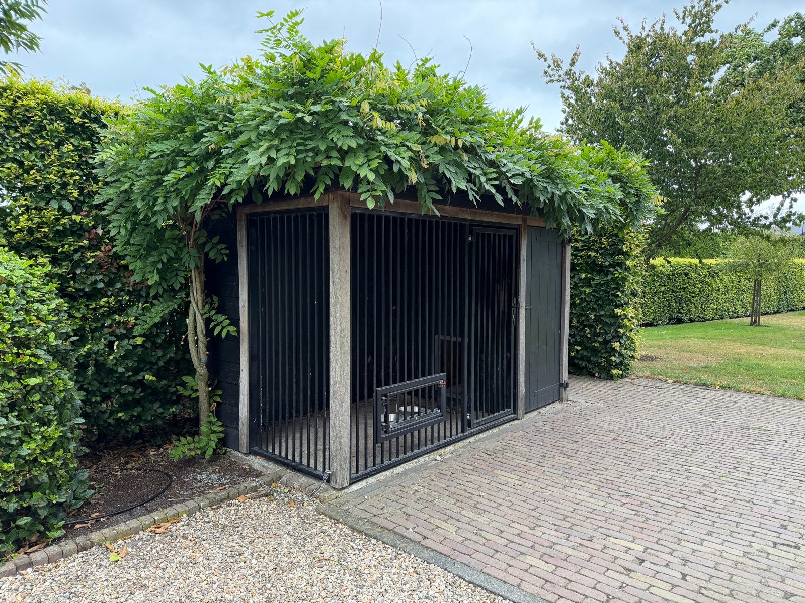 Panelen + loopdeur voor hondenkennel, Ophalen, Hondenkennel, 100 cm of meer, 110 cm of meer
