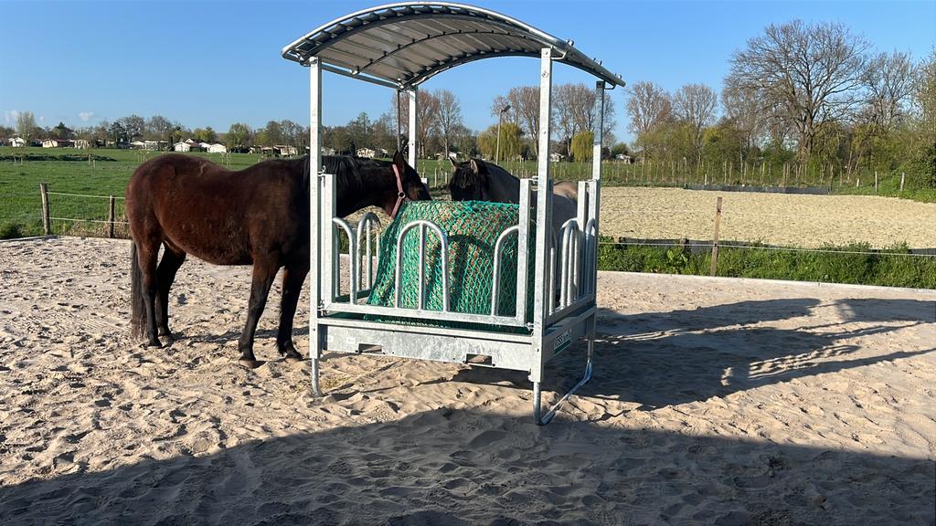 Paarden stalling en uitloop stallen, Dieren en Toebehoren, Stalling en Weidegang, Stalling